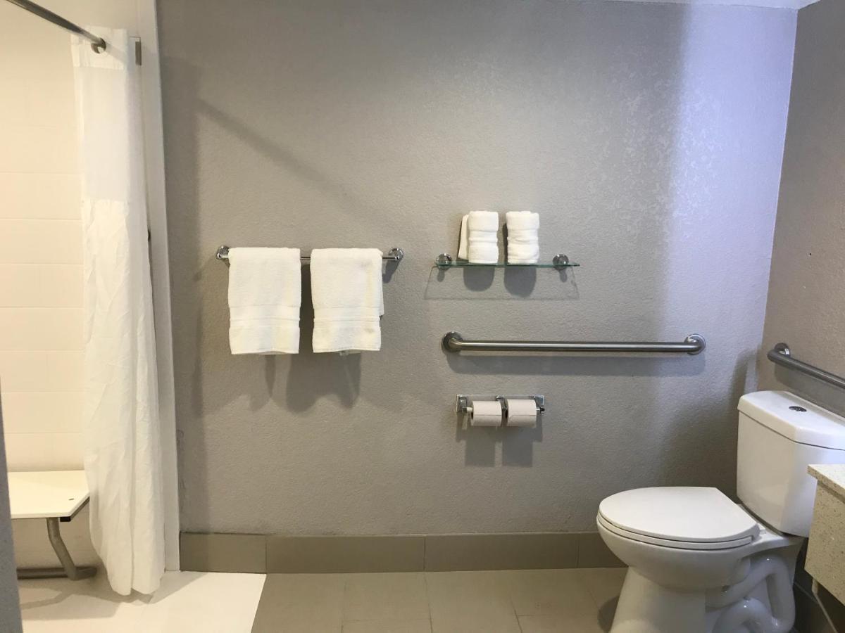 King Room Roll Shower Disability Access or Non Smoking
