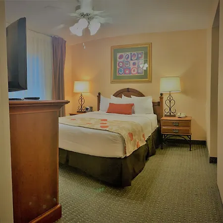Sonesta Es Suites Dallas Park Central-3